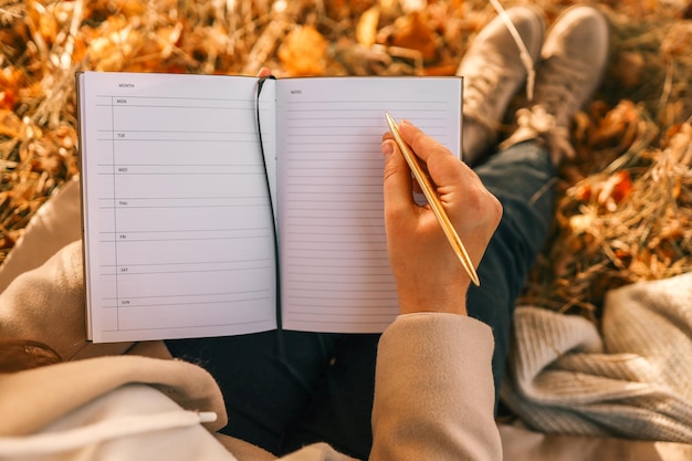 International negotiation strategies training